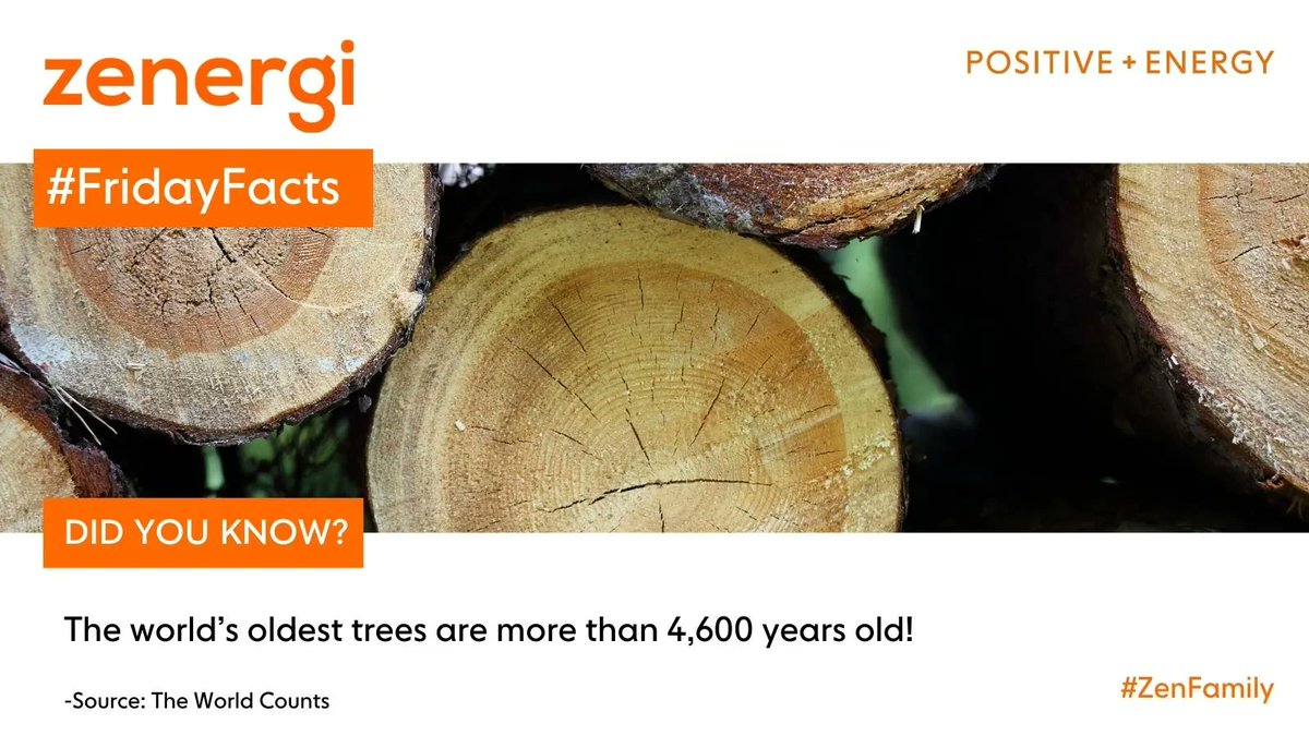 Zenergi tweet media