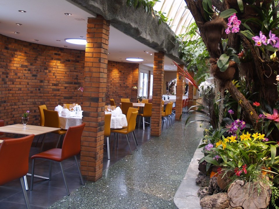 Liebe Gäste

Wir möchten Sie informieren, dass das Restaurant wegen Umbauarbeiten am Montag, 20.06.2022 ganztags geschlossen bleibt. Ab Dienstag, 21.06.2022 haben wir wie gewohnt geöffnet.

Vielen Dank für Ihr Verständnis!