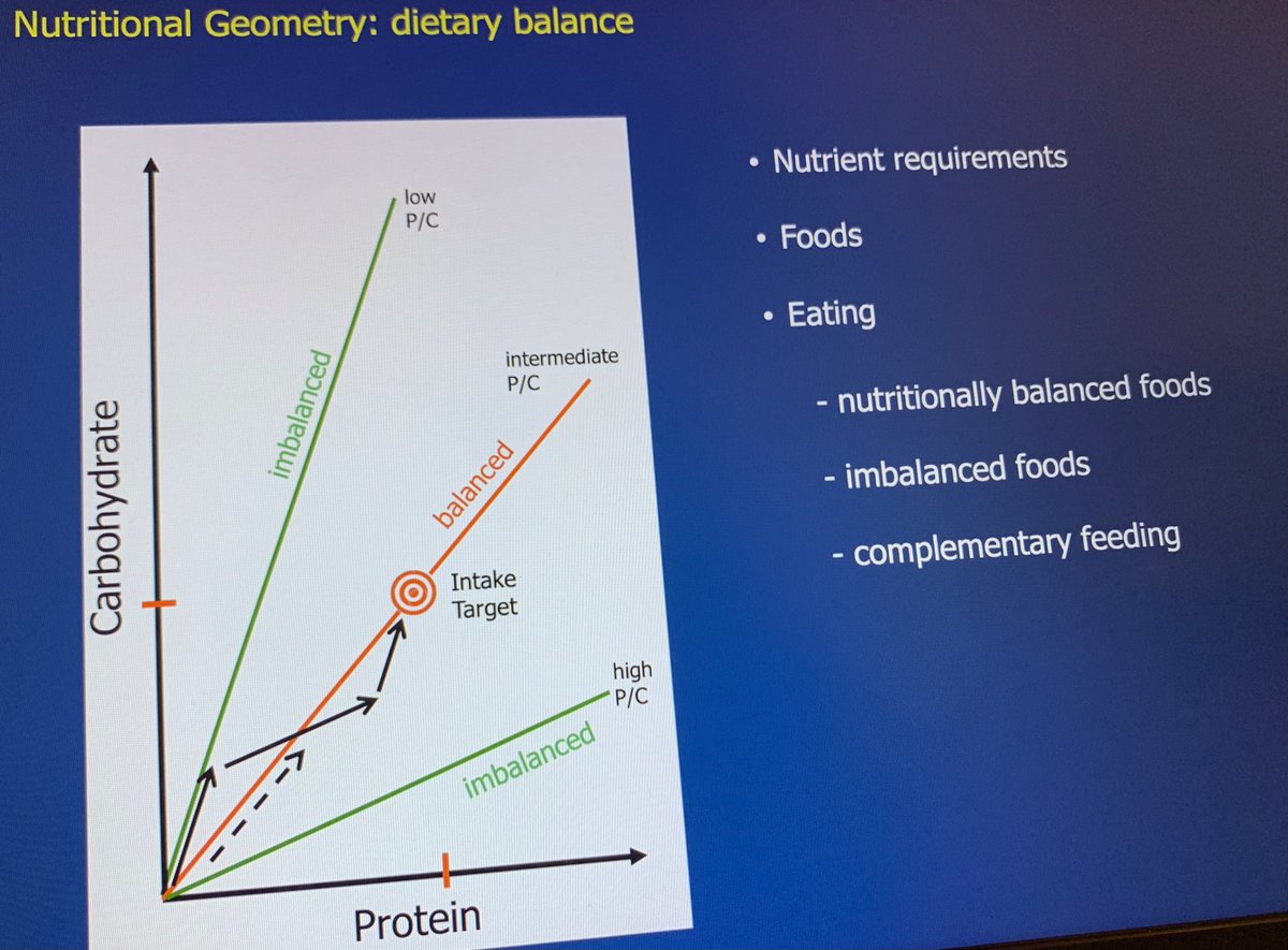 What nutritional geometry is and its links between diets and health in industrial food environments. Professor David Raubenheimer, Leonard P. Ullman Chair in Nutritional Ecology, University of Sydney revealed for us the fascinating world of Human nutritional ecology.