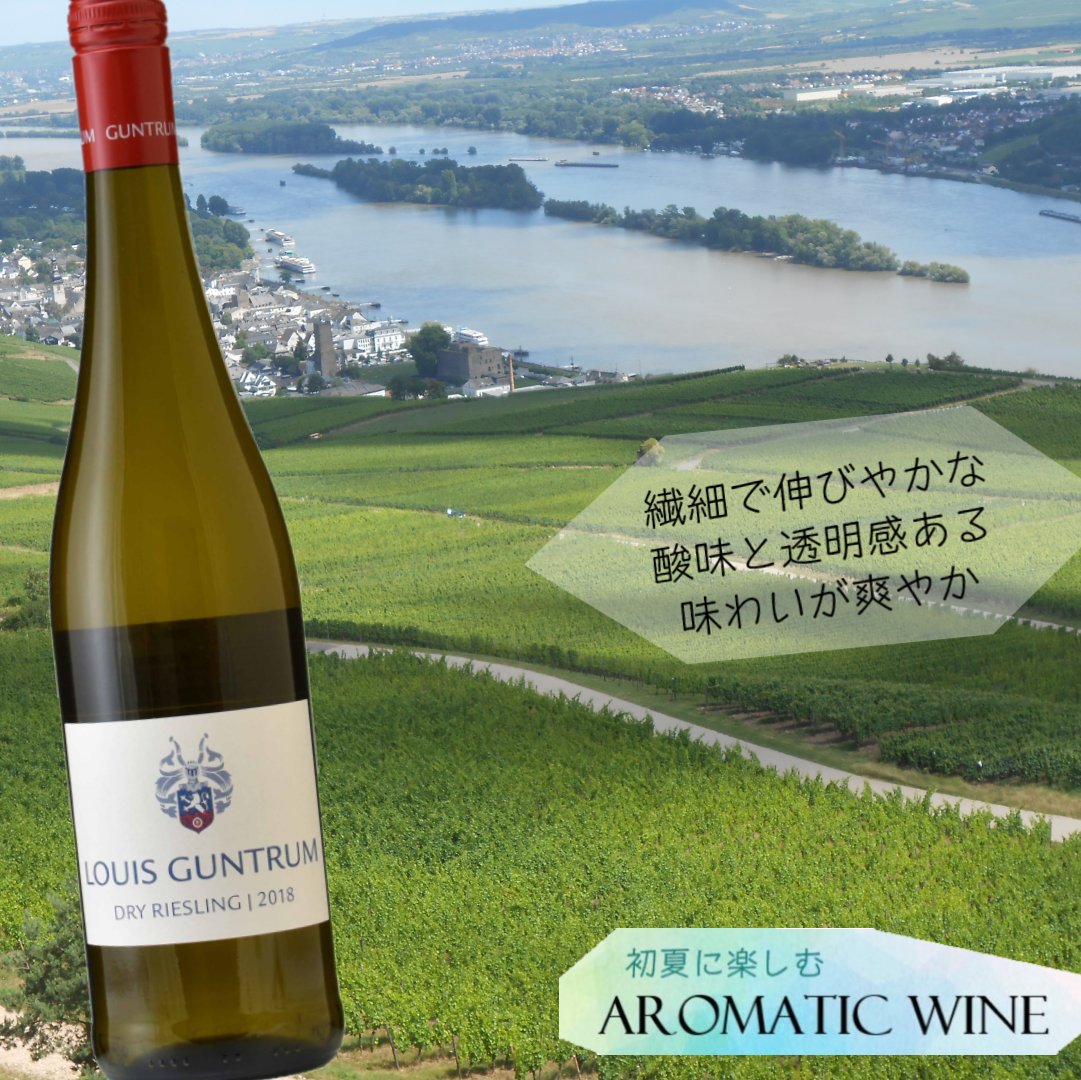 Kico Kinoshita International 木下インターナショナル Kicokinoshita Twitter