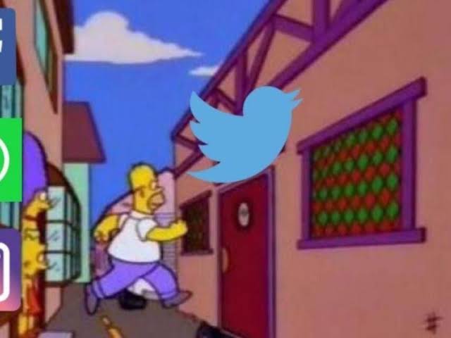 _yolicanul's tweet photo. Yo volviendo a twitter después de mil años solo porque @soythalyyy abrió su cuenta ❤️‍🔥👌🏻 https://t.co/vxuxAGBHzC