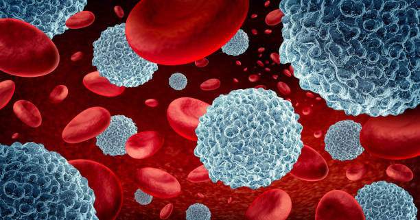 Sysmex_Es's tweet photo. Los glóbulos blancos (#leucocitos) son un elemento fundamental del sistema #inmunitario. Nos ayudan a proteger el cuerpo frente a infecciones e invasores extraños. Para conocer más términos científicos, accede aquí 👉https://t.co/IcWgasvPGU #GlosarioSysmex https://t.co/zWiUtdxyeQ