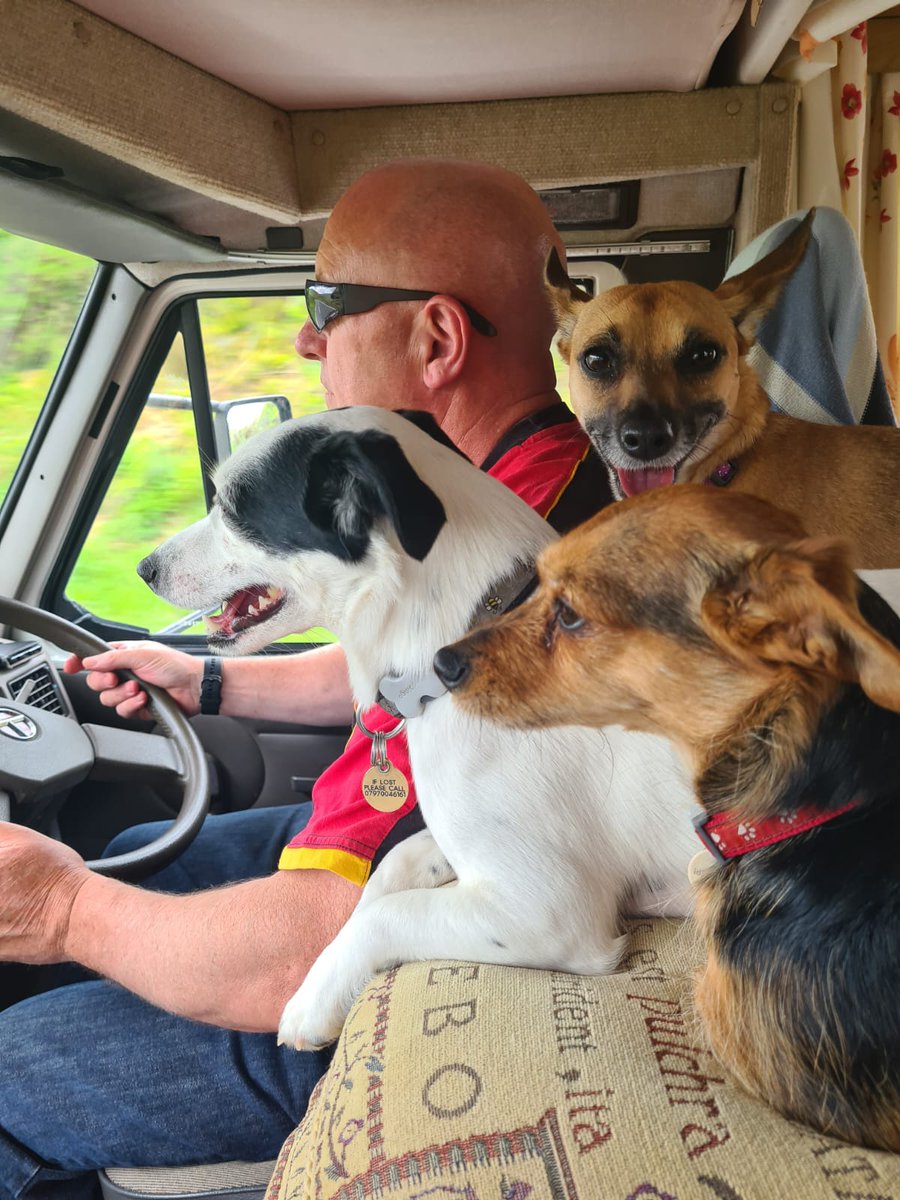 Me and the dogs on our way to Devils Bridge and the Mwnt west Wales for the weekend