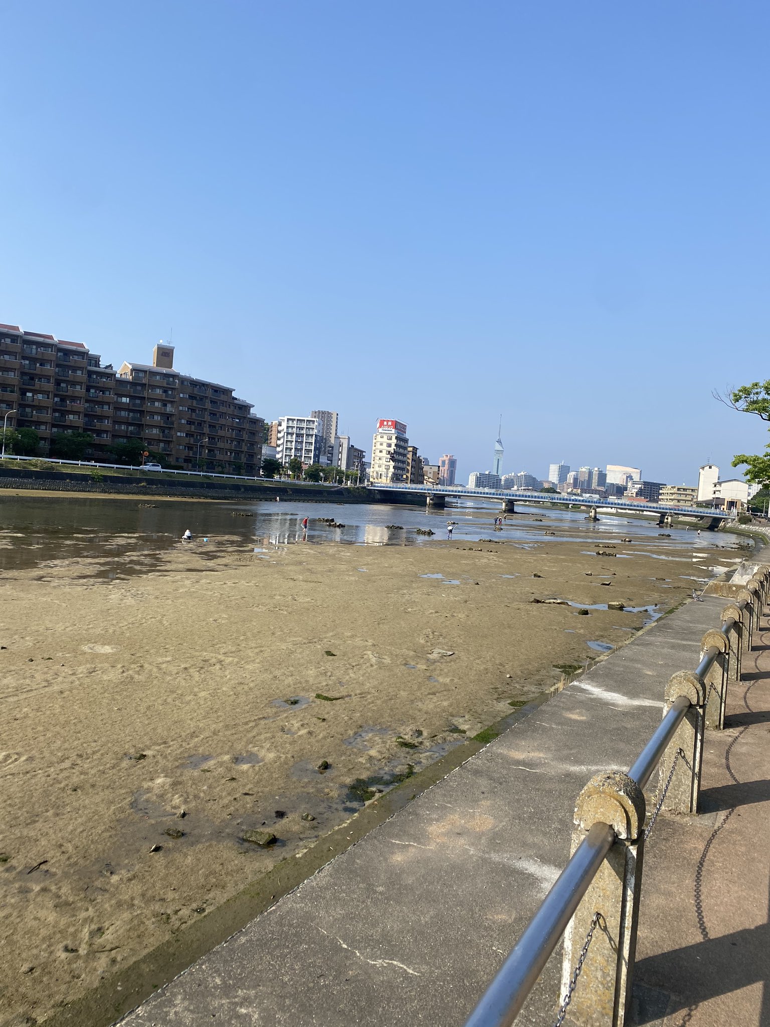 福岡ともさん Webライター uchimentaiko 福岡市は晴天 現在の室見川の潮干狩りの様子です 拡大しないと分かりづらいですが T Co Udrbrc0b1v Twitter