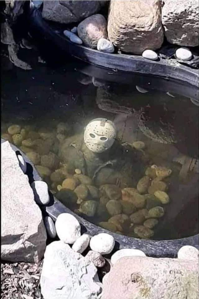 Best pond ever made, this person is a genius😁 
#FridayThe13 #OutdoorPond #YardPonds #Jason #JasonFridayThe13 #Syfy #VintageHorrorMovies #Horror #EightiesHorrorMovies