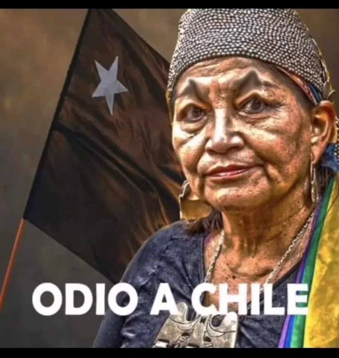 NolascoNavarro's tweet photo. Aquí tenemos la genio del #Eloncon lo más importante que miente miente y miente y los sin sesos 🧠 le creen no a las mentiras 🤥 de la @convencioncl y #Convencionales #Indigenistas #Comunistas y #Chavistas #RechazoLaDestruccionDeChile #RechazoElPlurimamarrachoIndigenista y https://t.co/1yaFu2VBca