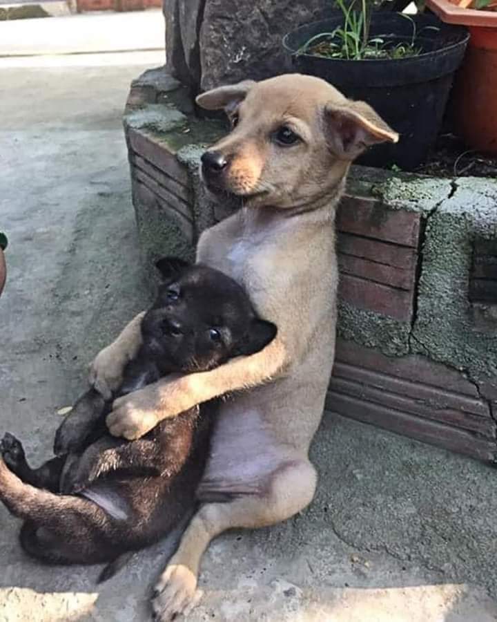 Sabueson's tweet photo. Que título le pondrian a la foto https://t.co/REH60zVja4