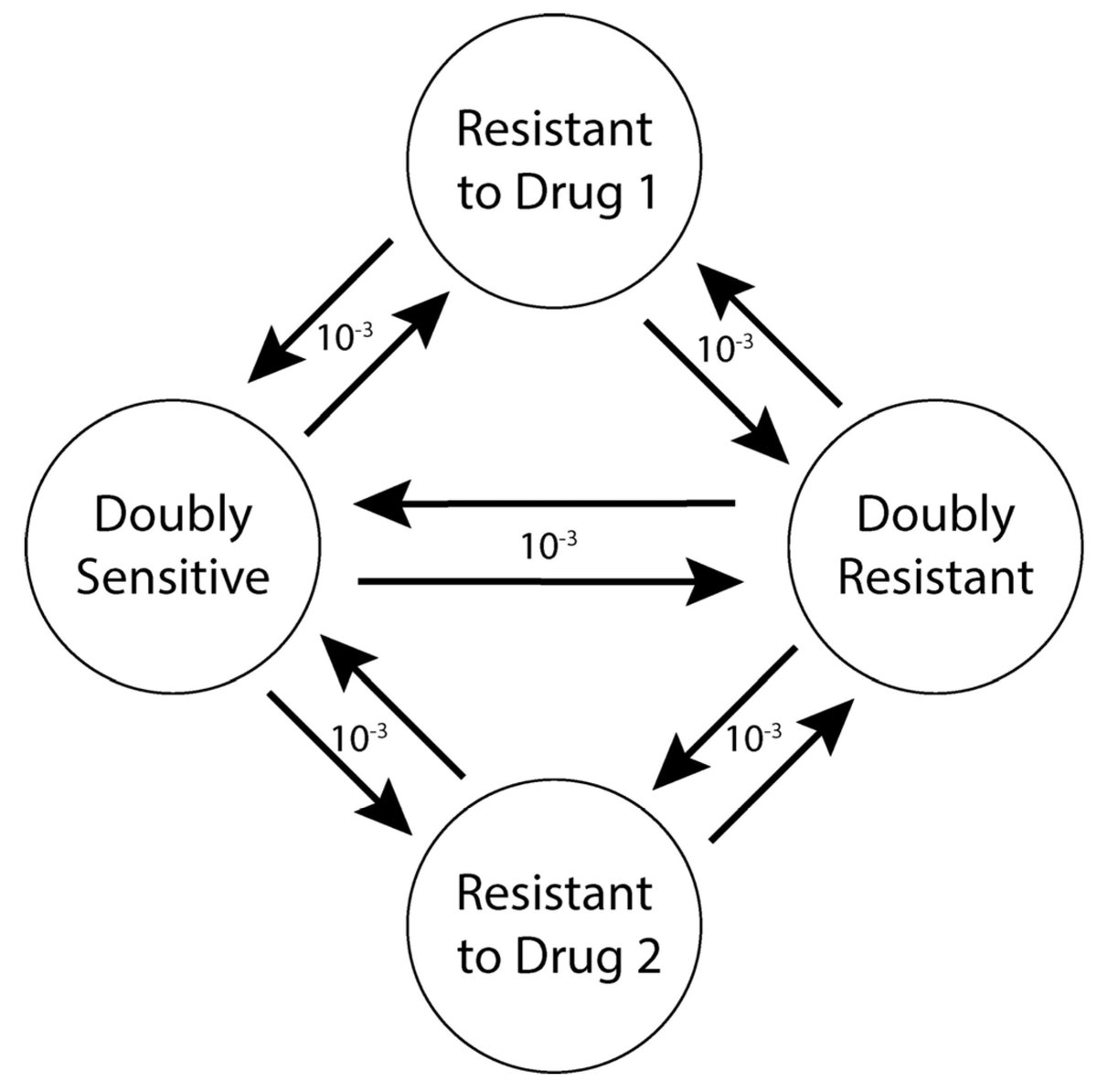 Sandy Anderson (@ara_anderson) on Twitter photo Pleased to share a new collaboration with <a href="/cmaley/">Carlo Maley</a> on <a href="/EvolTherapy/">Centre for Evolutionary Therapy</a> led by Daniel Thomas: In Silico Investigations of Multi-Drug Adaptive Therapy Protocols mdpi.com/1655416 Another great application of <a href="/HybridAutomata/">HAL</a>! Pleased to share a new collaboration with <a href="/cmaley/">Carlo Maley</a> on <a href="/EvolTherapy/">Centre for Evolutionary Therapy</a> led by Daniel Thomas: In Silico Investigations of Multi-Drug Adaptive Therapy Protocols mdpi.com/1655416 Another great application of <a href="/HybridAutomata/">HAL</a>!