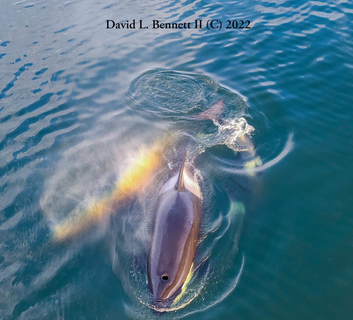 DLBIININJA/Jake's broken jaw! 🫨🫨🫨 tweet media