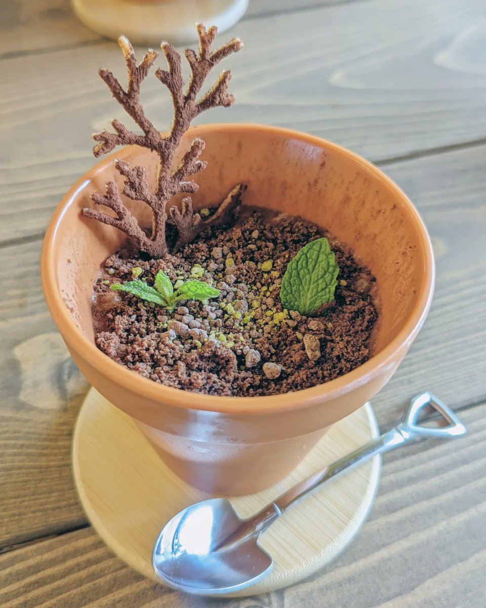 abusoys's tweet photo. 朝散歩と朝カフェ。お目当てのティラミスがとっても植木鉢。かわいい🌿
#マジロカフェ #masilocafe 
#つくばカフェ #洞峰公園 #つくば https://t.co/roW27IH2y4