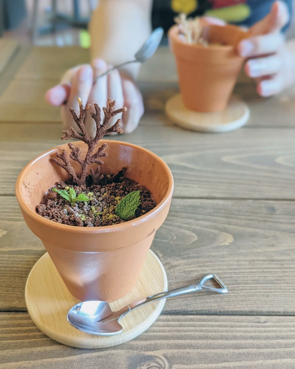 abusoys's tweet photo. 朝散歩と朝カフェ。お目当てのティラミスがとっても植木鉢。かわいい🌿
#マジロカフェ #masilocafe 
#つくばカフェ #洞峰公園 #つくば https://t.co/roW27IH2y4