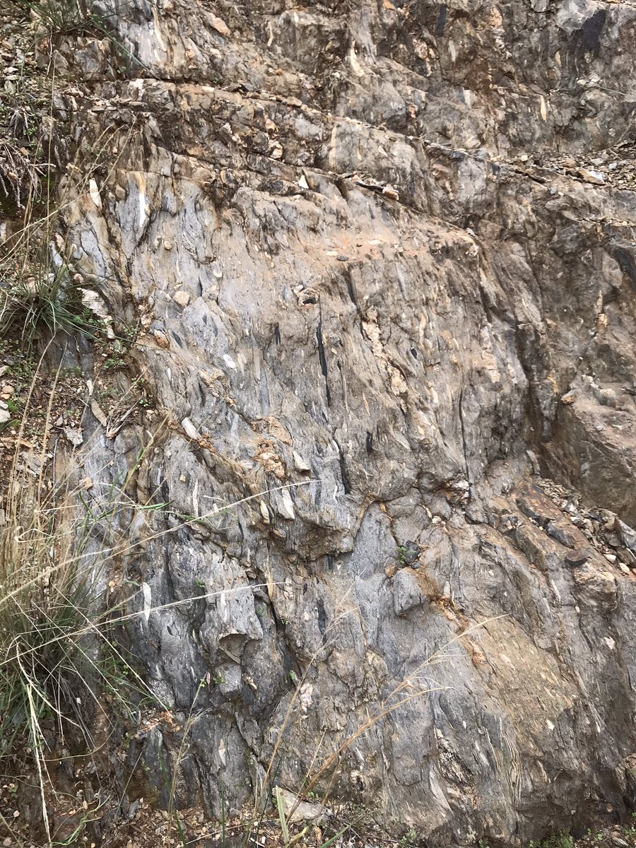 anna_chica's tweet photo. Our drive home takes us across several continent-building structures like the MacDonald fault, which marks the contact between the Adelaidean #neoproterozoic basin sediments and the #paleoproterozoic #Willyama inlier- this cutting is a snapshot into #glacial conditions #GSSArocks https://t.co/KrqCbZTNUq