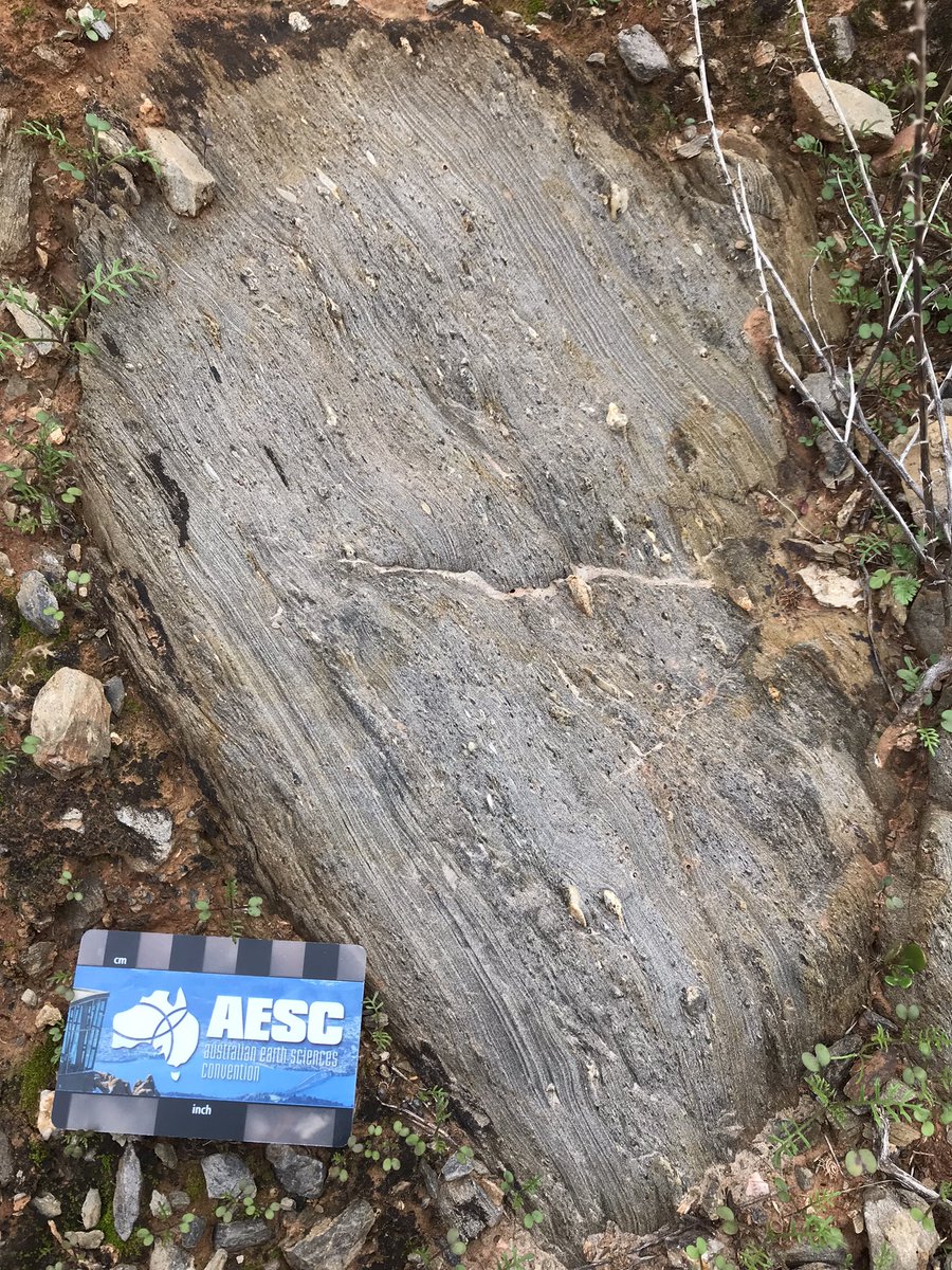 anna_chica's tweet photo. Our drive home takes us across several continent-building structures like the MacDonald fault, which marks the contact between the Adelaidean #neoproterozoic basin sediments and the #paleoproterozoic #Willyama inlier- this cutting is a snapshot into #glacial conditions #GSSArocks https://t.co/KrqCbZTNUq