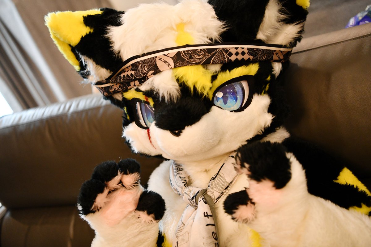 zhiyue_Moon's tweet photo. 嗷！
凶凶的样子！不是卖萌！
#FursuitFriday https://t.co/oYdCHsyENK