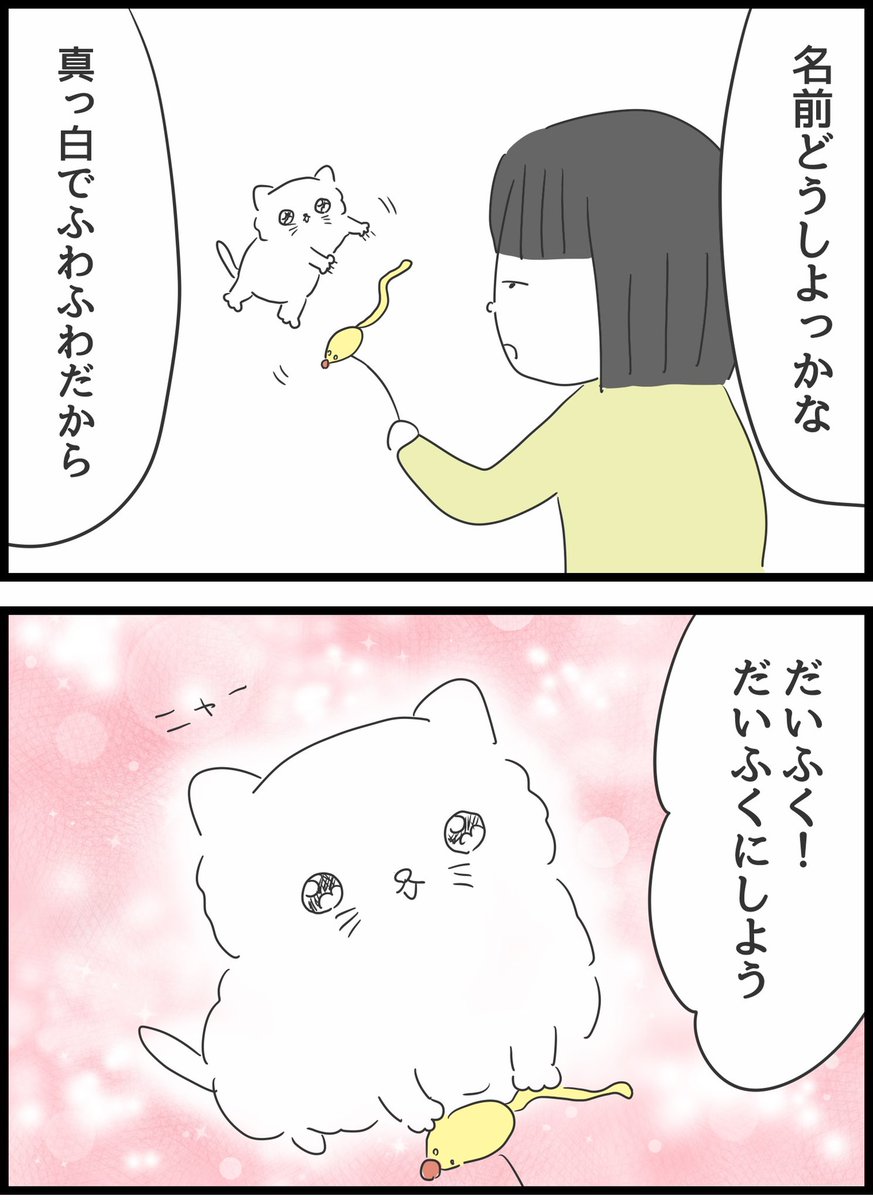 【29】いじめられていた私がネコとの出会いで人生が変わった話 