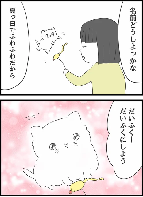 【29】いじめられていた私がネコとの出会いで人生が変わった話 
