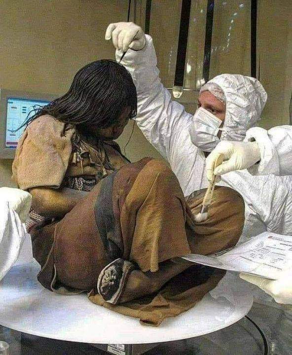 cleporati's tweet photo. Esta niña de 15 años vivió en el imperio Inca y fue sacrificada hace 5 siglos. Se conserva así de bien pq fue congelada durante el sueño y mantenida en una condición de frío seco a + de 6000 metros (Llullaillaco 🇨🇱), incluso la sangre y sus órganos internos estaban casi intactos. https://t.co/PpFwS3hi2n