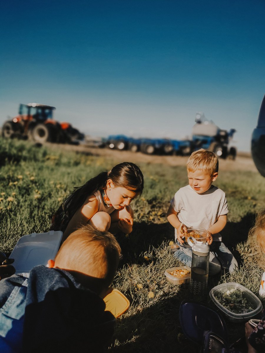 Cornerstone Seed tweet media