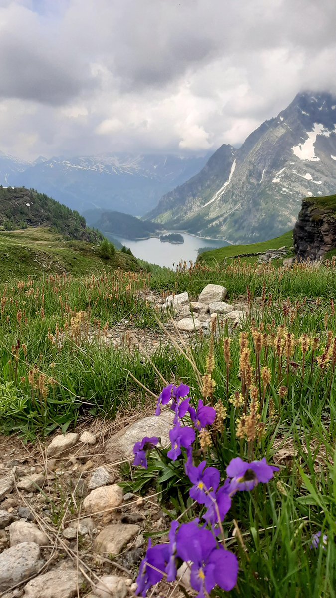 Earthbasedsoul's tweet photo. Good morning Twitter! Isn’t this the perfect day to have a good day?
Send coffee for some love 🙂☕️❤️ https://t.co/P3rFeyKU6n