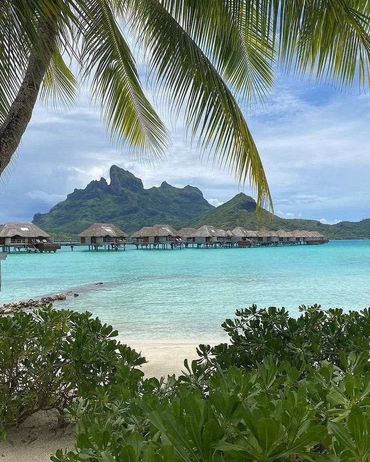 soraemiewp's tweet photo. Celeste and East #TFCepub Bora Bora visuals 🏝☀️ https://t.co/yw5xkUyoHj