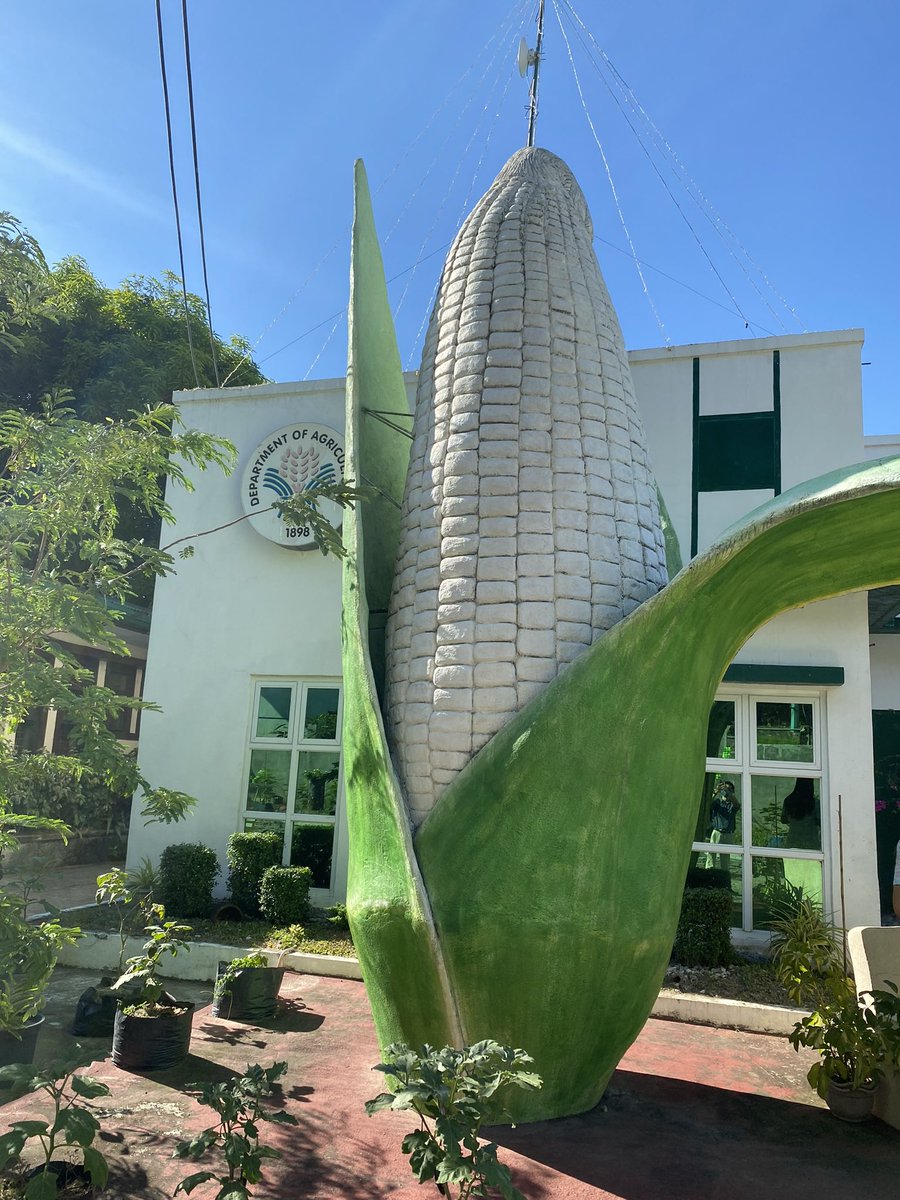 MmchenMao's tweet photo. City of Ilagan, the #corn capital here in Philippines. You see it everywhere👍👍 https://t.co/6JzF26NytW