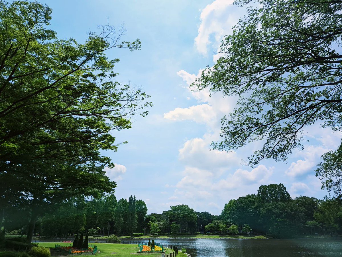 abusoys's tweet photo. 店内は木陰感あって涼やか。食後は洞峰公園散策。次は何食べようかな☕
#マジロカフェ #masilocafe 
#つくばカフェ #洞峰公園 
#つくば https://t.co/QXfVO0Sj4k
