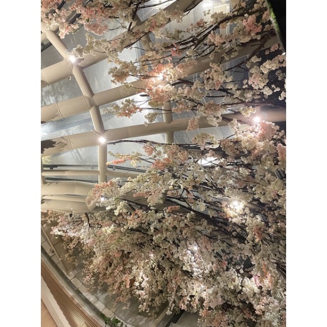 Saya menjual tumbler protect seharga Rp112.750. Dapatkan di Shopee sekarang! shopee.co.id/officialmerch/… #ShopeeID