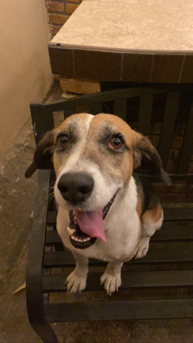 santi :p tweet media