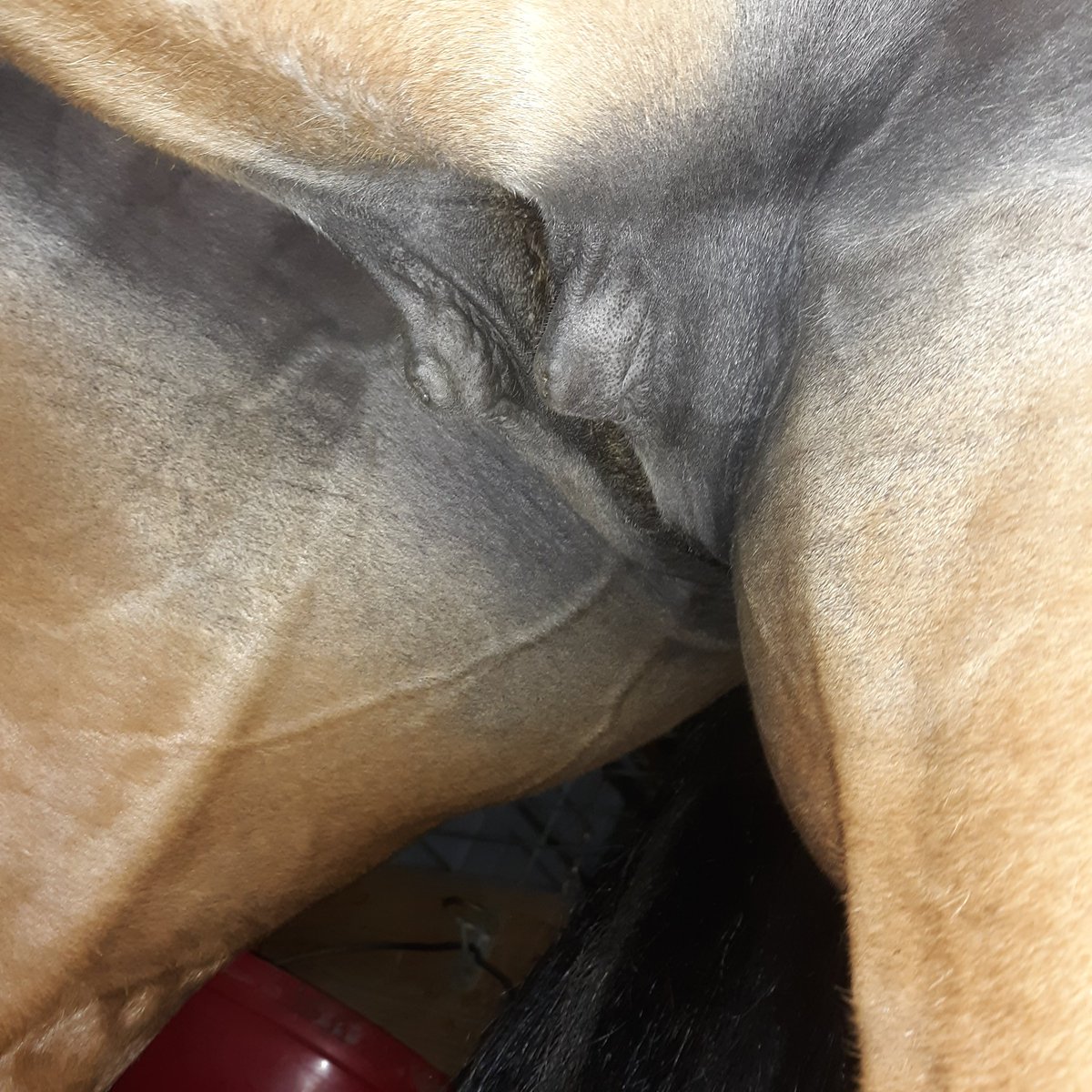 Sarah-Living the dream! and tired tweet media