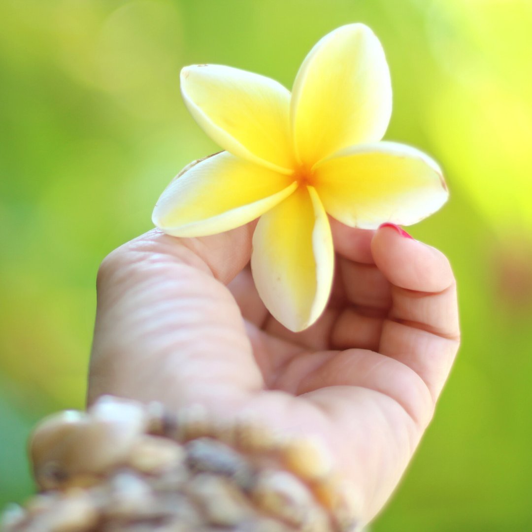 ToursPearl's tweet photo. Hawaii is a dream destination for many people. To help you make the most out of your vacation we offer Custom All-Inclusive Vacation Packages that include activities at Pearl Harbor and other historic and culturally important sites.

Learn more: https://t.co/My2q01CjuB https://t.co/KFtXAZfGjb