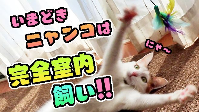 群馬県 tweet media
