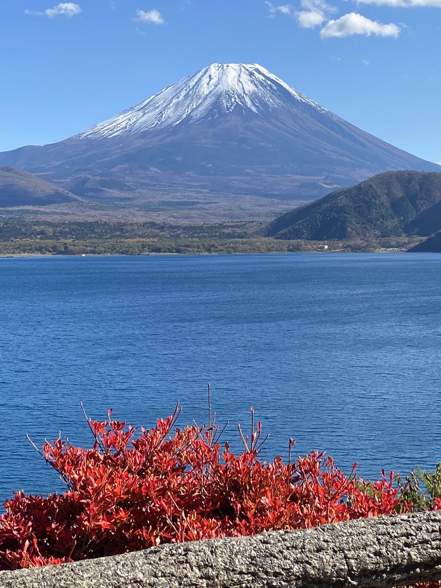 ダー様 tweet media