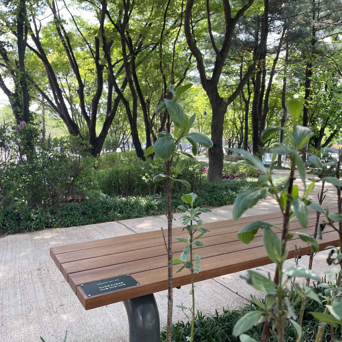 suninigom's tweet photo. 📍목동 파리공원
멀지만 시간 나자마자 달려간 파리공원!
생각보다 공원도 엄청 이쁘고 산책로가 힐링 그 자체여서 너무 좋았당💛 담에는 곰인이 챙겨와야징🧸
The park is really nice and the path to the bench is so pretty! The bench is here until 2027 so make sure to visit💛 https://t.co/oKrGQ8dmVz