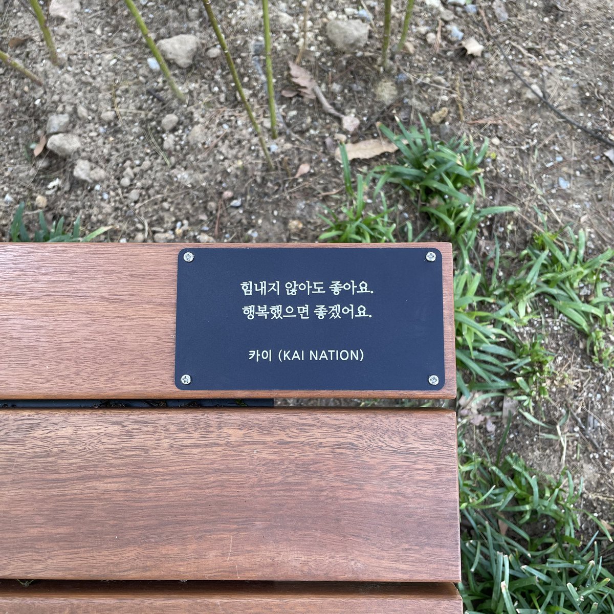 suninigom's tweet photo. 📍목동 파리공원
멀지만 시간 나자마자 달려간 파리공원!
생각보다 공원도 엄청 이쁘고 산책로가 힐링 그 자체여서 너무 좋았당💛 담에는 곰인이 챙겨와야징🧸
The park is really nice and the path to the bench is so pretty! The bench is here until 2027 so make sure to visit💛 https://t.co/oKrGQ8dmVz