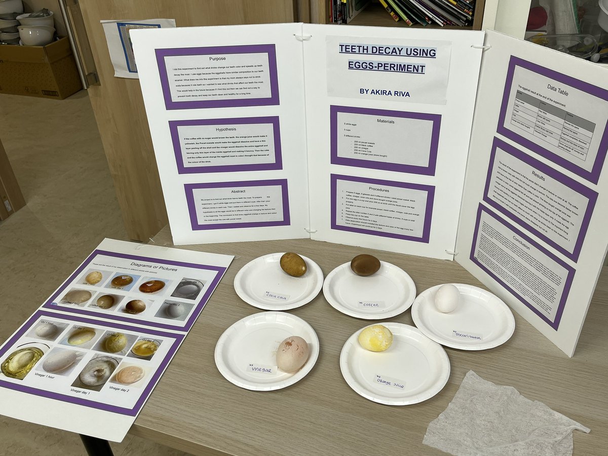 It’s time for our #annual #sciencefair #sustainability #edchat