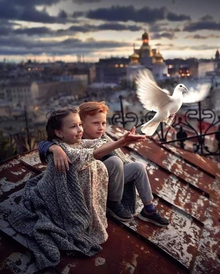 VikHugo2's tweet image. 