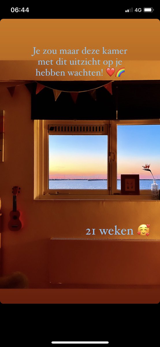 Majanne Wigbers (@poldervroedvrou) on Twitter photo 