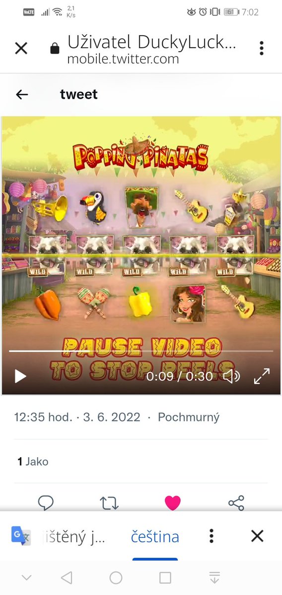 David špalek tweet media