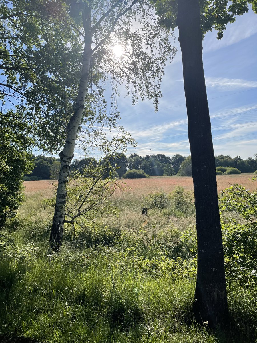 MFilter01's tweet photo. Chill #back2nature https://t.co/jeBhc6PRMr