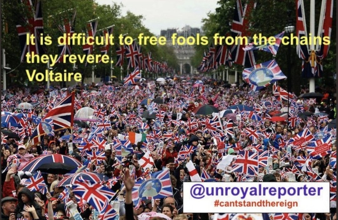 RogerMedows tweet media