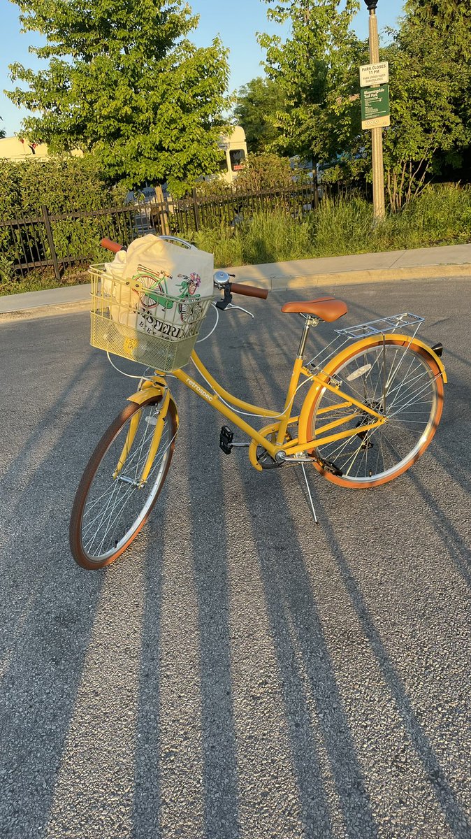 daniaquinooo's tweet photo. just a bitch and her new bike #retrospec https://t.co/53teZd1X4r