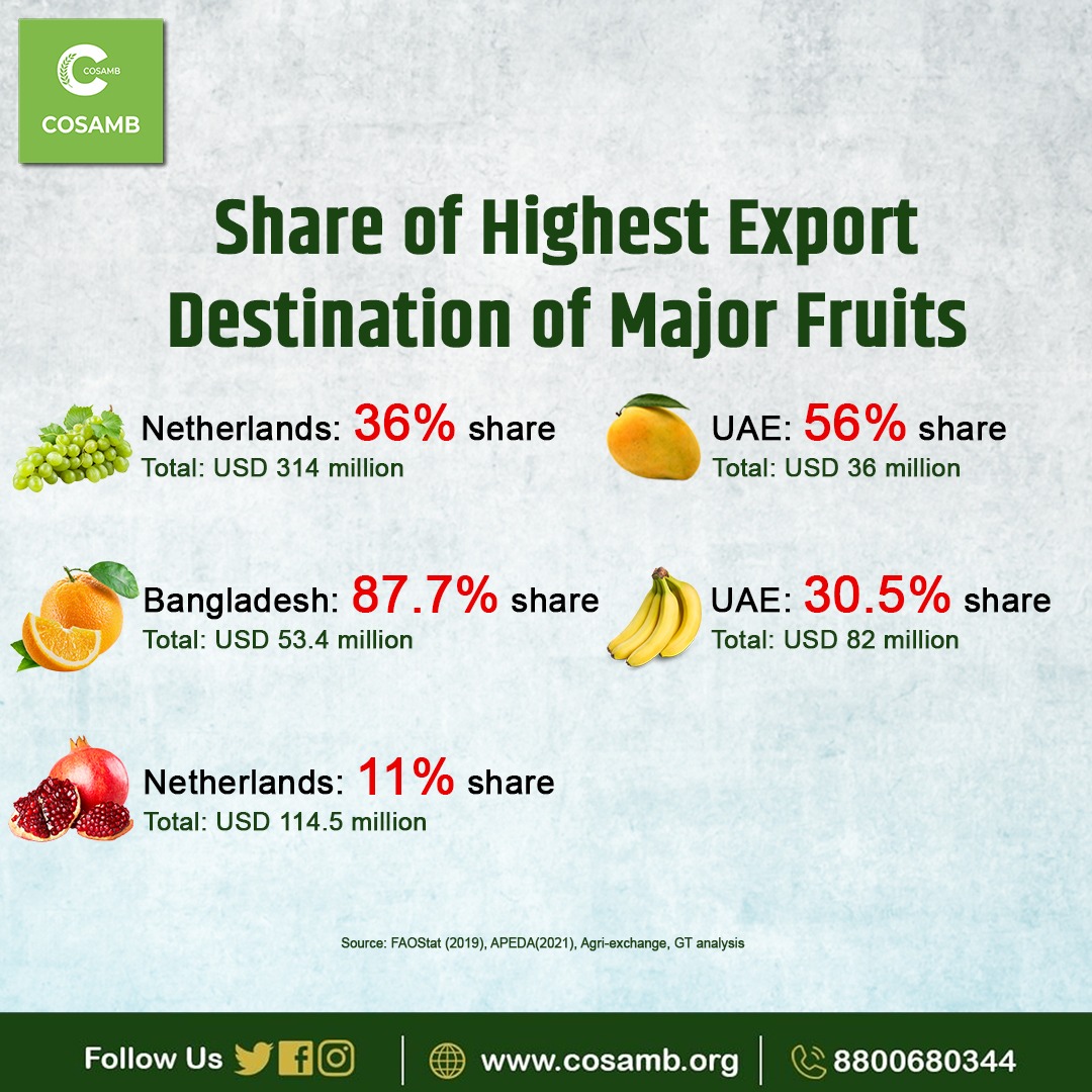 COSAMB India on Twitter "Fresh grapes and Other Fresh Fruits accounted