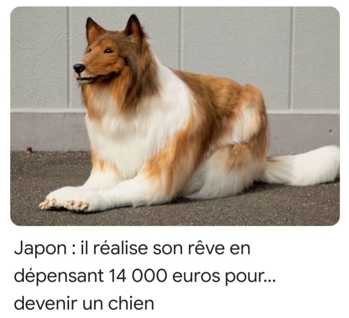 Maxence_bklf57's tweet photo. Où va le monde 😭 https://t.co/XRnoqpiVza