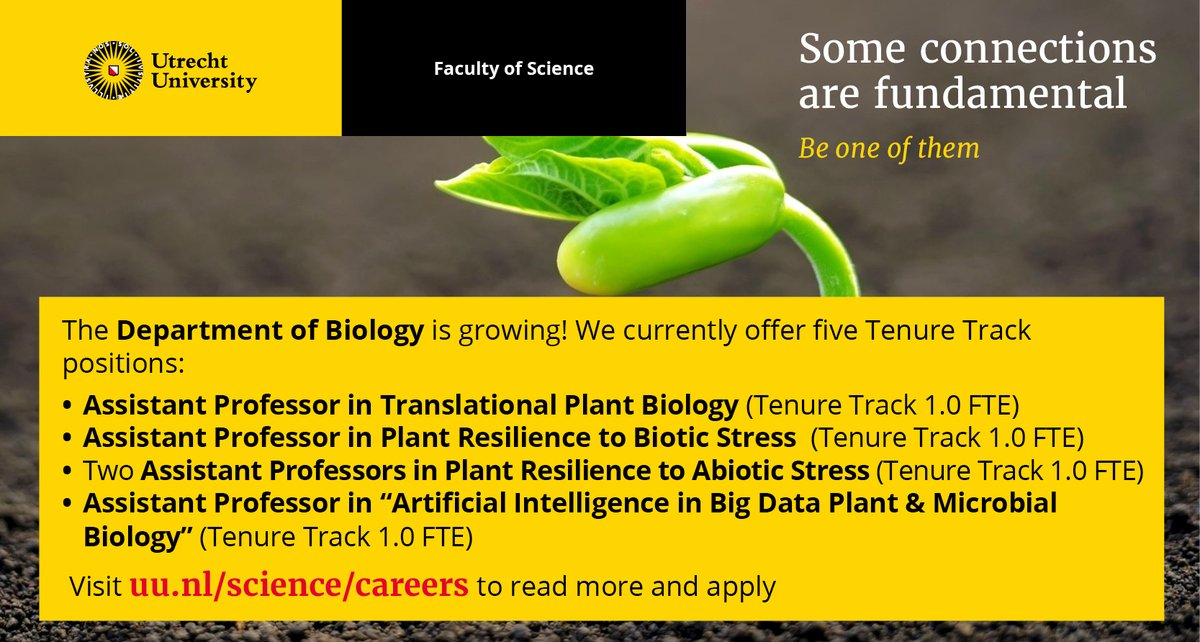 guidopmi's tweet photo. Exciting opportunities for excellent researchers in plant biology to join  @UU_Plants  at @UniUtrecht with @R_Sasidharan, @Corne_Pieterse and @guidopmi. We encourage ambitious and energetic researchers to apply for these new PI positions. Application deadline: 15 June 2022. https://t.co/fj3D0LFFK6