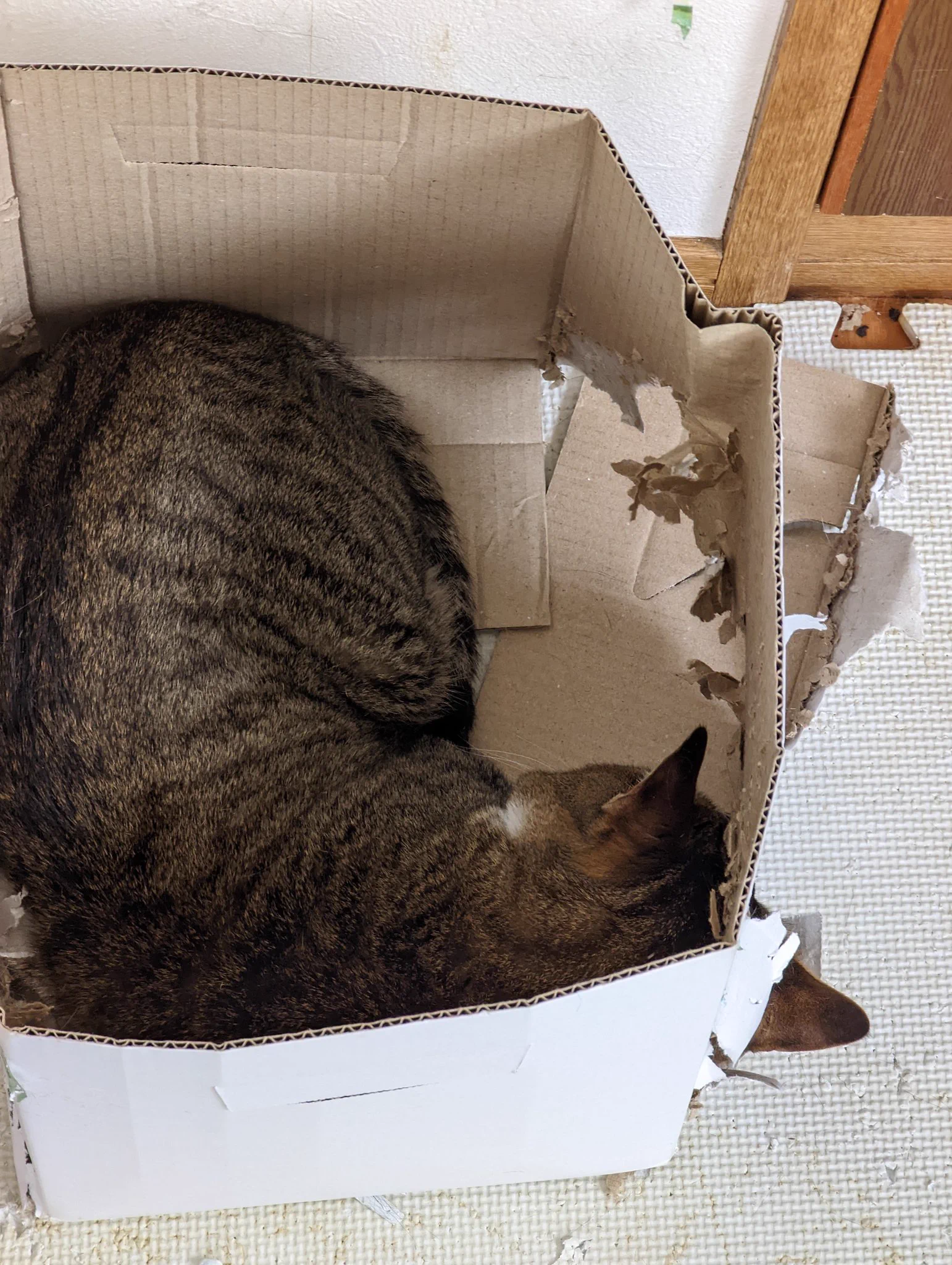 @kyuryuZ まんまわいやん(´・ω・｀) 