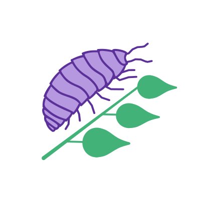 rpfoliage's tweet photo. Support LGBTQ+ small businesses this pride month! 🌈  Rollie Pollie Foliage is a one man, queer-owned business!

15% off for the entire month of June 🎉

Happy Pride! 🏳️‍🌈 #etsy #lgbtq #pride #smallbusiness #plants https://t.co/XRW9nER3YE