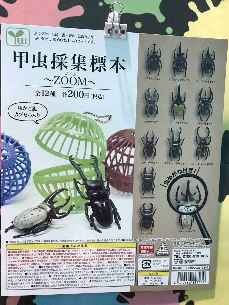 甲虫採集標本 全12種類セット 虫眼鏡 カプセル虫かご付き 甲虫採集標本 全