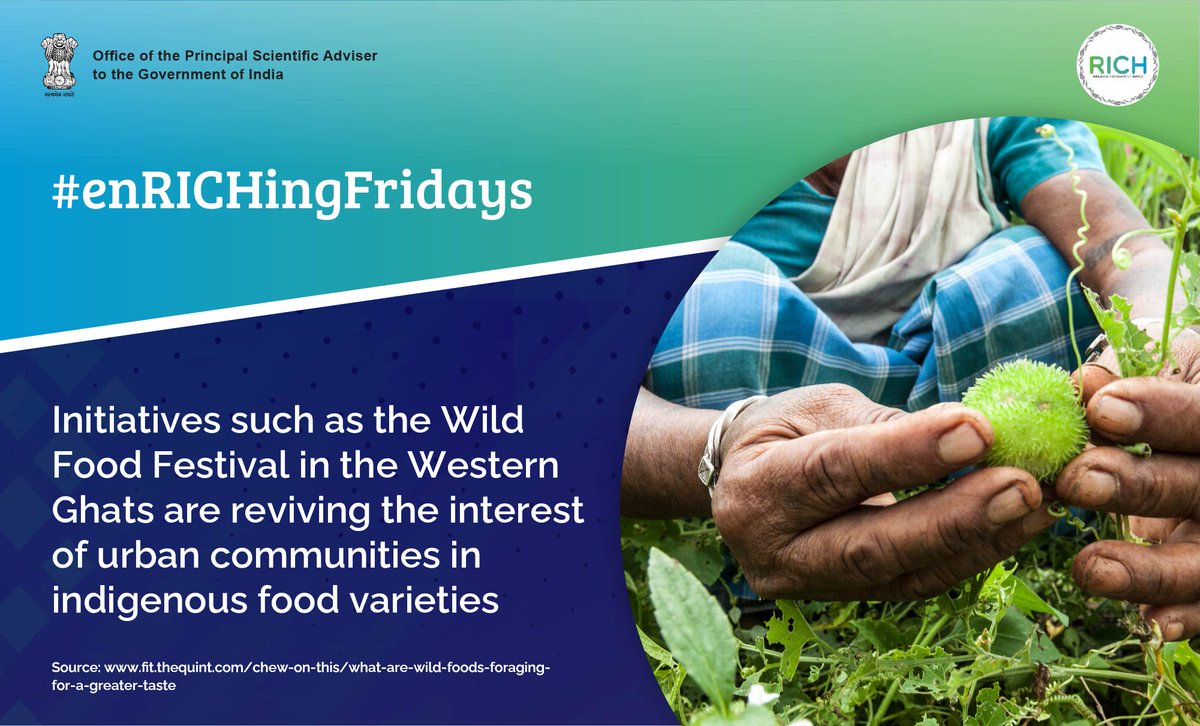 #enRICHingFridays
As per a 2019 UN report, #WildFood varieties are declining globally. Initiatives like the #WildFoodFestival help sustainably grow, conserve, and revive #IndigenousFoods consumed by #TribalCommunities in #India