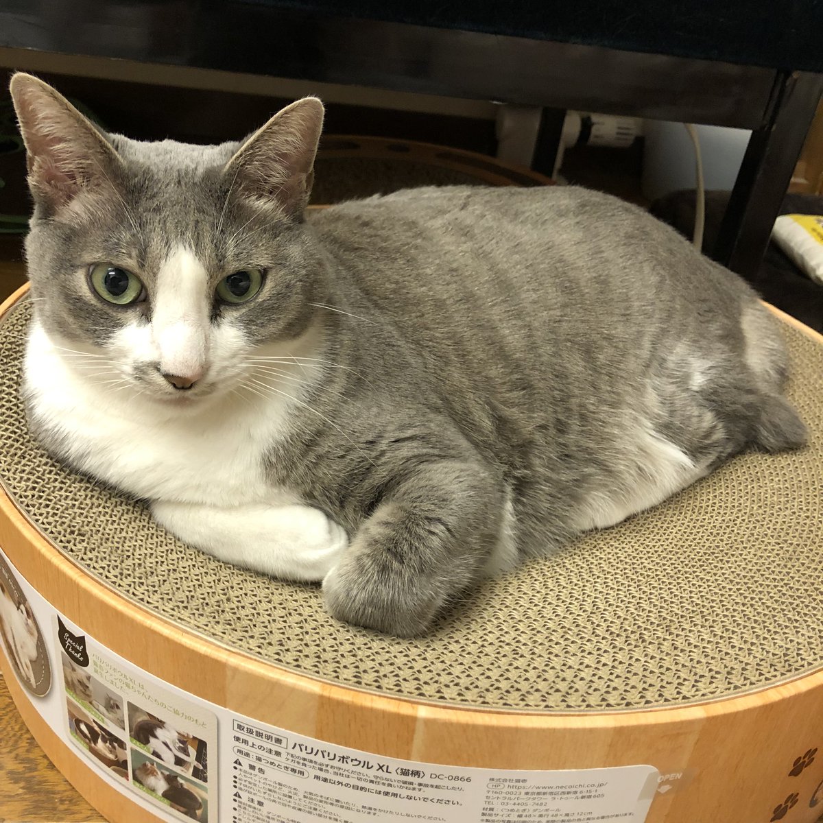 無地・新色登場! 竣太郎さま専用 - profmotta.com.br