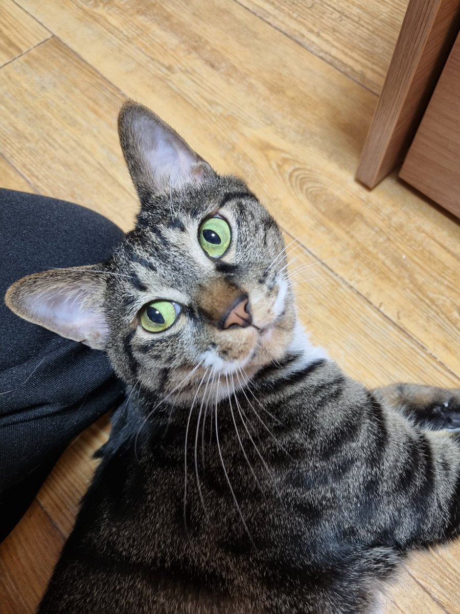 우리집 귀요미 보러 누나가 지금 간다!!!